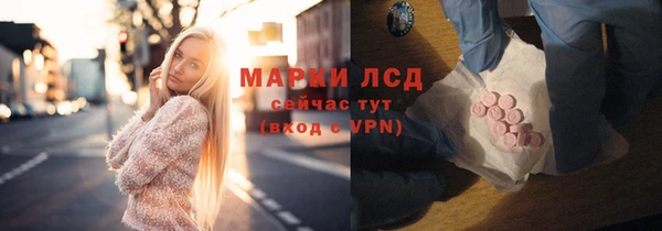 трава Аркадак