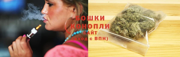трава Аркадак