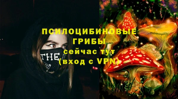 трава Аркадак