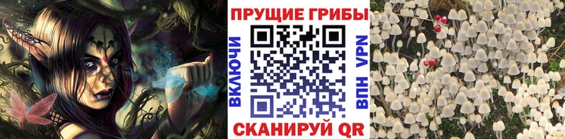 Галлюциногенные грибы Psilocybine cubensis Остров