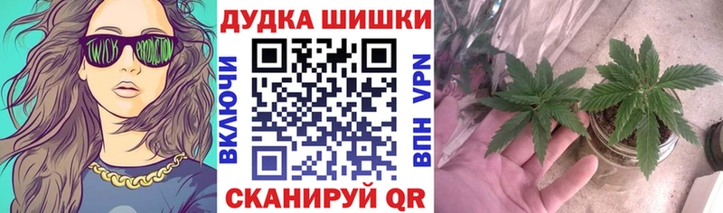 Бошки Шишки гибрид цена Остров